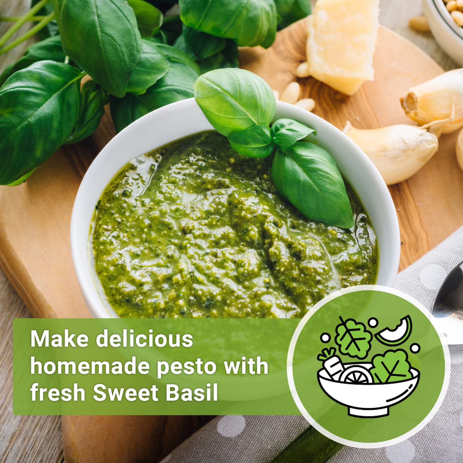Genovese basil harvest-ready leaves on a sunny windowsill