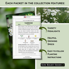 Sow Right Seeds gold yarrow seed packet highlighting bright summer blooms for borders.