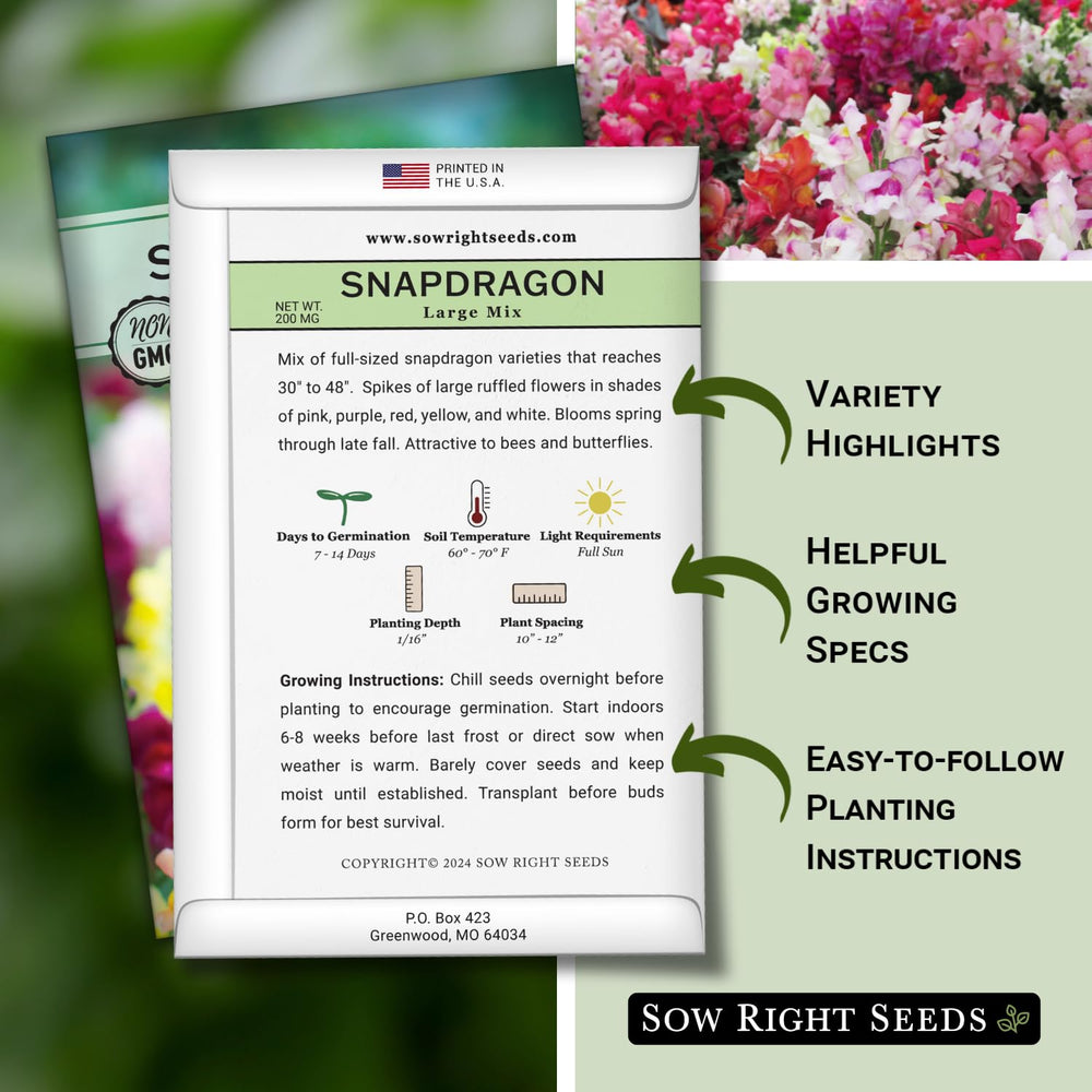 Sow Right Seeds large mixed snapdragon blooms close-up reveals ruffled petals.