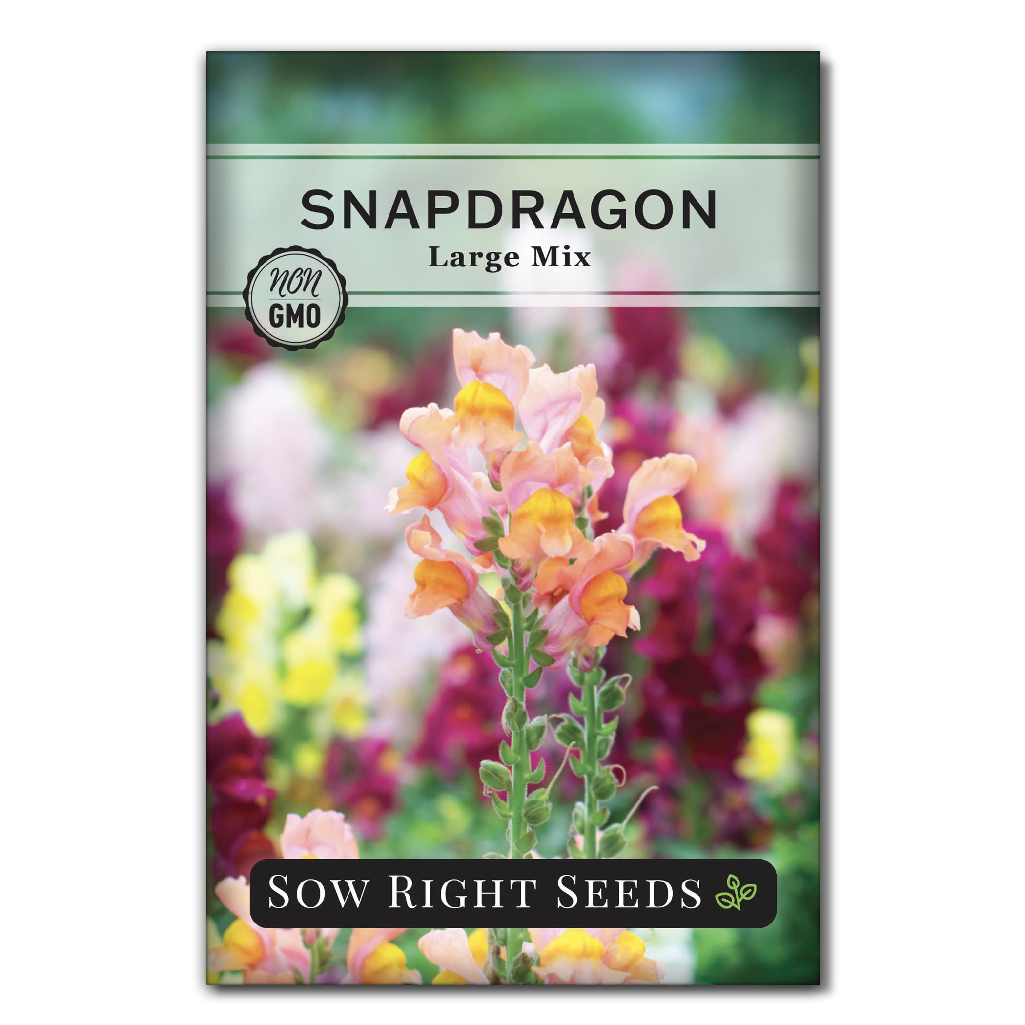 Sow Right Seeds Large Mixed Snapdragon seed packet front shows vibrant color variety for your garden.