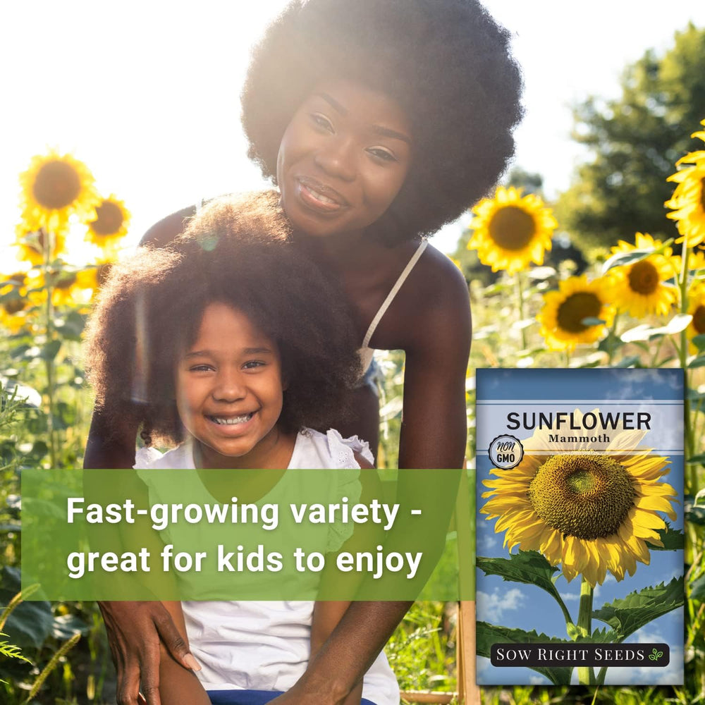 Sow Right Seeds Mammoth Sunflower seed packet ideal for open-pollinated seed saving.