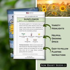 Sow Right Seeds Mammoth Sunflowers growing tall in sunlit beds create dramatic focal points.