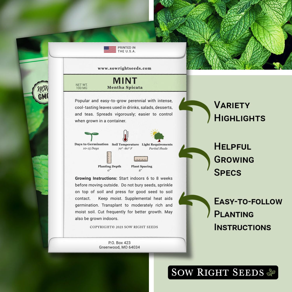 Sow Right Seeds mint leaves close-up showing fresh aroma for tea.