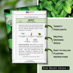 Sow Right Seeds mint leaves close-up showing fresh aroma for tea.