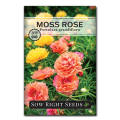 Sow Right Seeds Moss Rose with vibrant double blossoms for borders and containers.