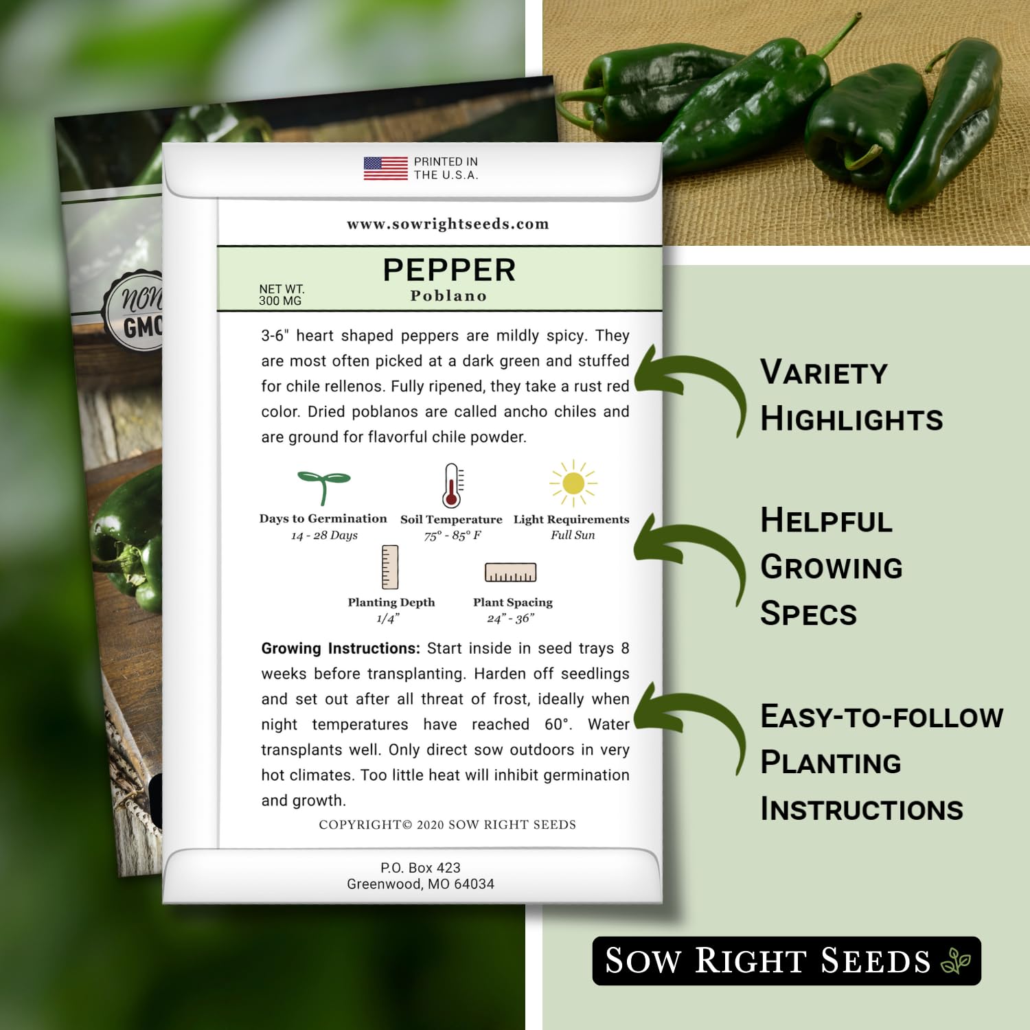 Sow Right Seeds Poblano pepper seeds germinating in warm soil for strong growth