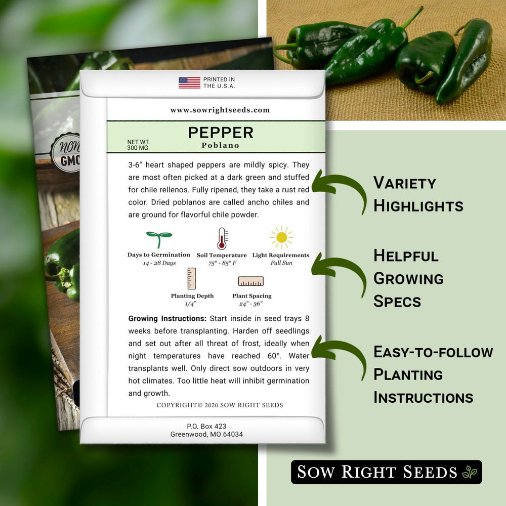 Sow Right Seeds Poblano pepper seeds germinating in warm soil for strong growth