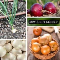 Sow Right Seeds packaging with clear planting instructions for easy home growing
