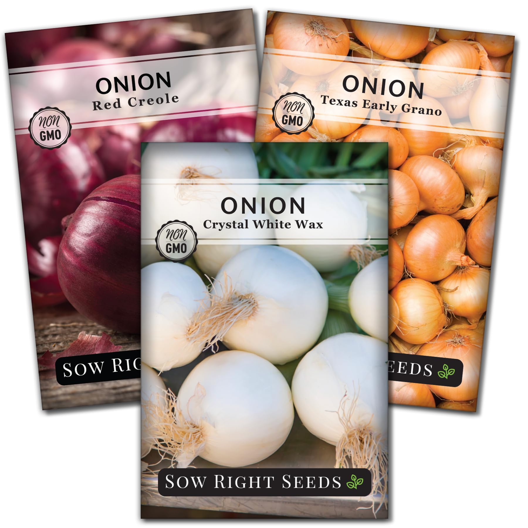 Sow Right Seeds Short Day Onion Seed Collection Red Creole packets for home gardening