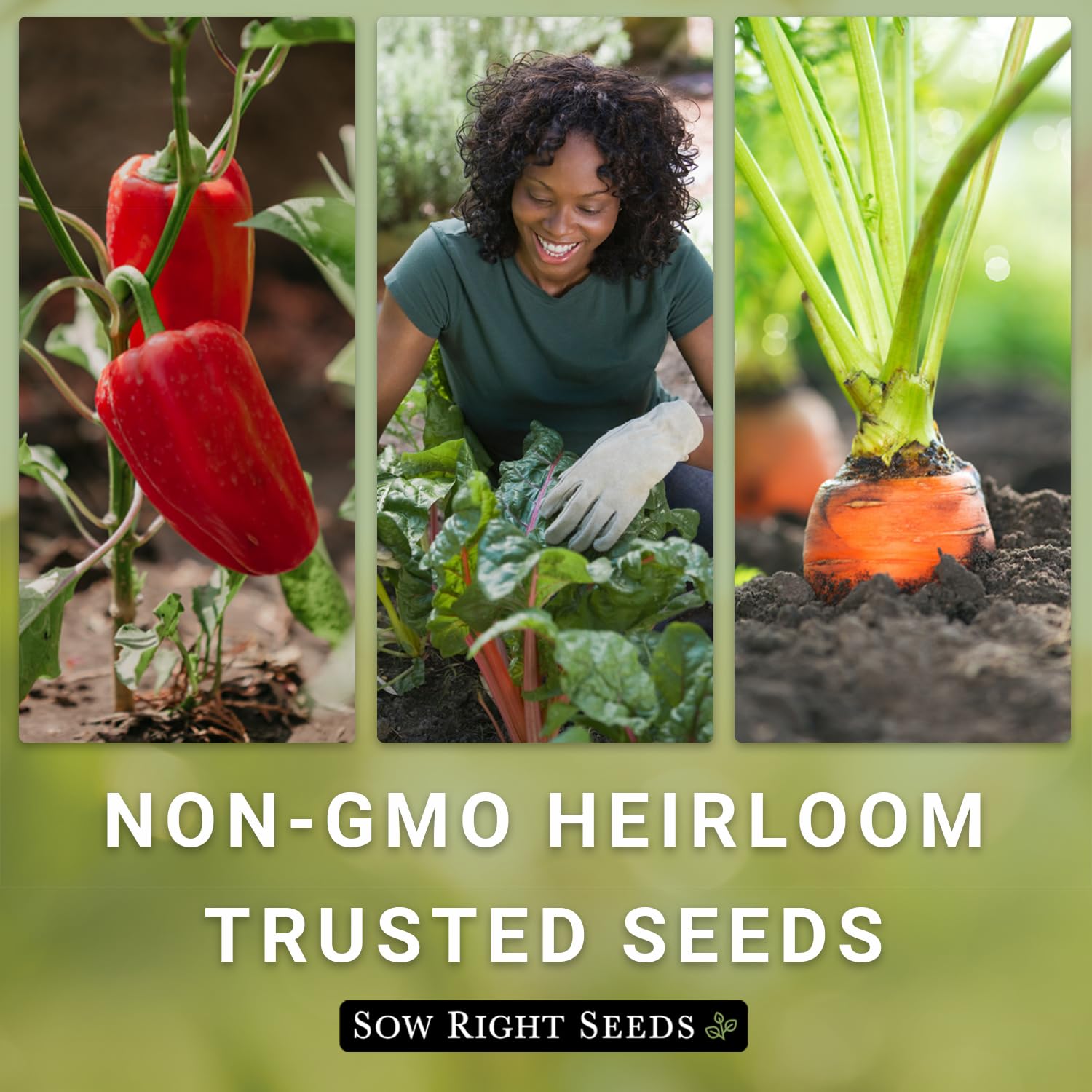 Packaging from Sow Right Seeds sun powered facility and pledge