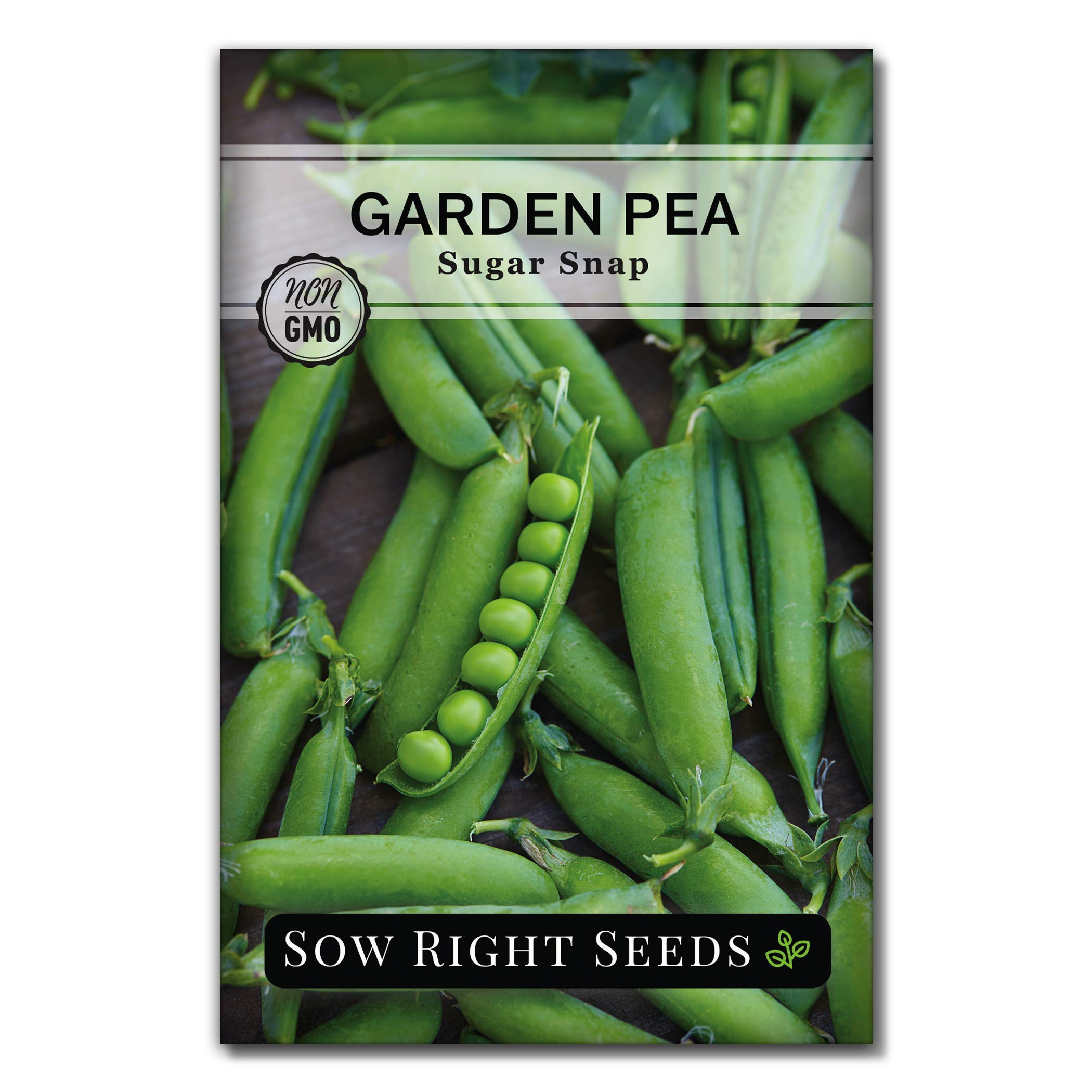 Sow Right Seeds Sugar Snap pods closeup for delicious garden snacking
