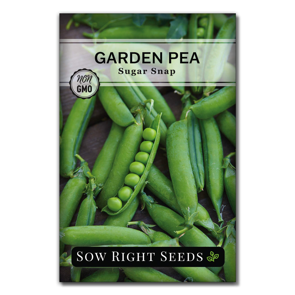 Sow Right Seeds Sugar Snap pods closeup for delicious garden snacking