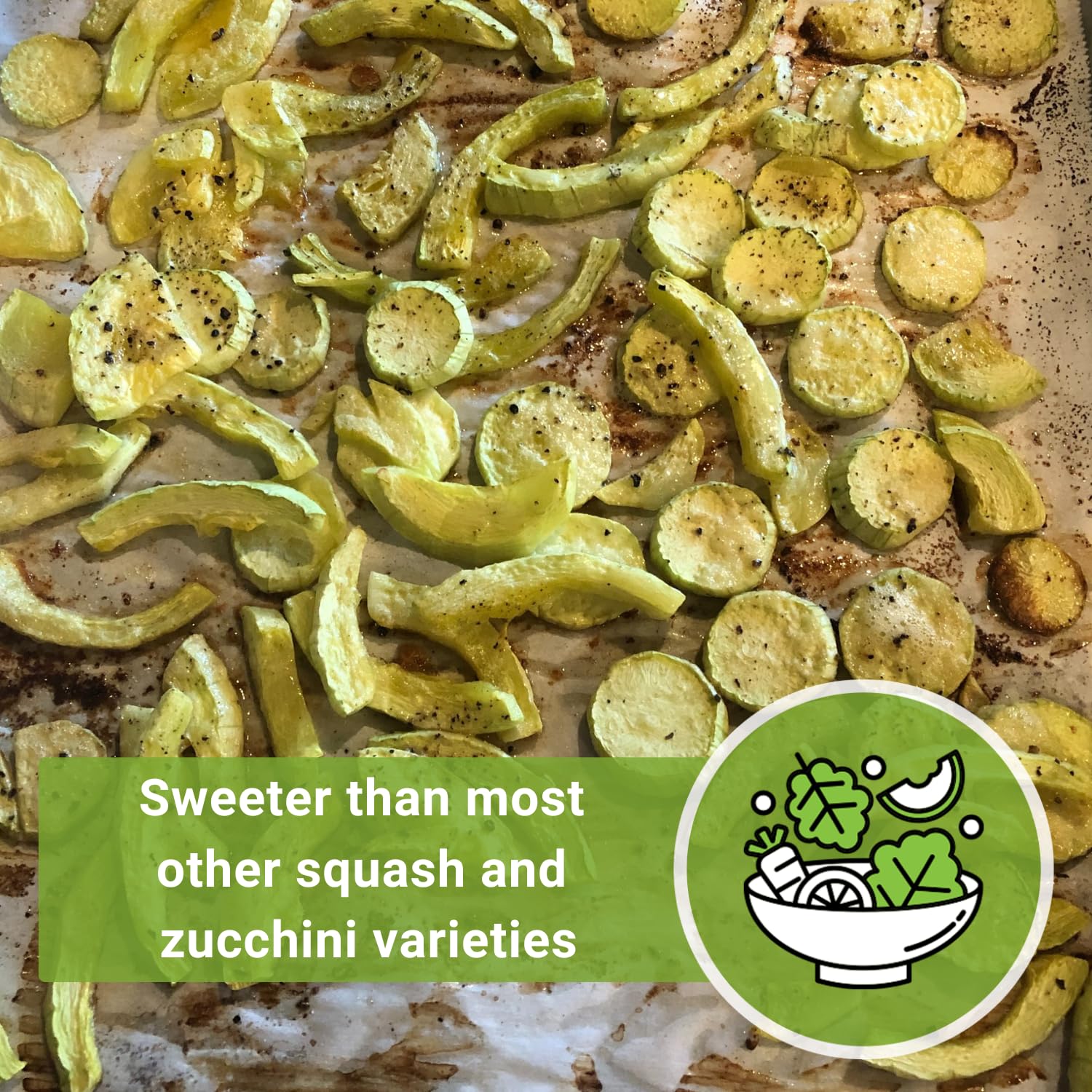 Sow Right Seeds Tromboncino harvest-ready squash for versatile meals.
