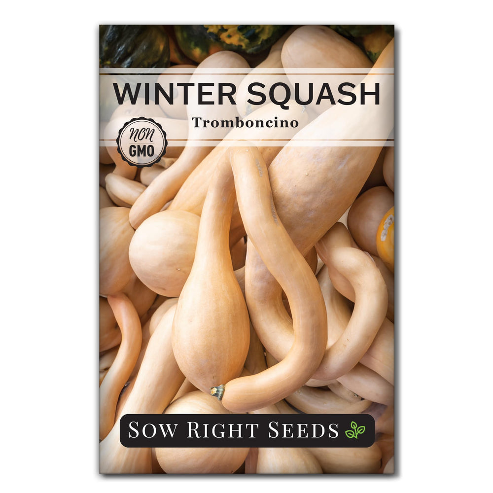 Sow Right Seeds Tromboncino seed packet for home gardening with sweet long-neck squash.