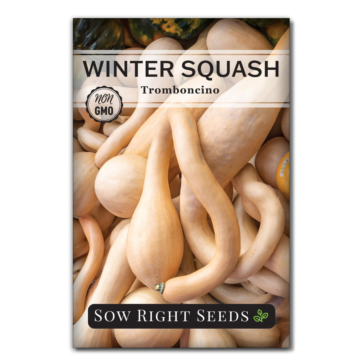 Sow Right Seeds Tromboncino seed packet for home gardening with sweet long-neck squash.