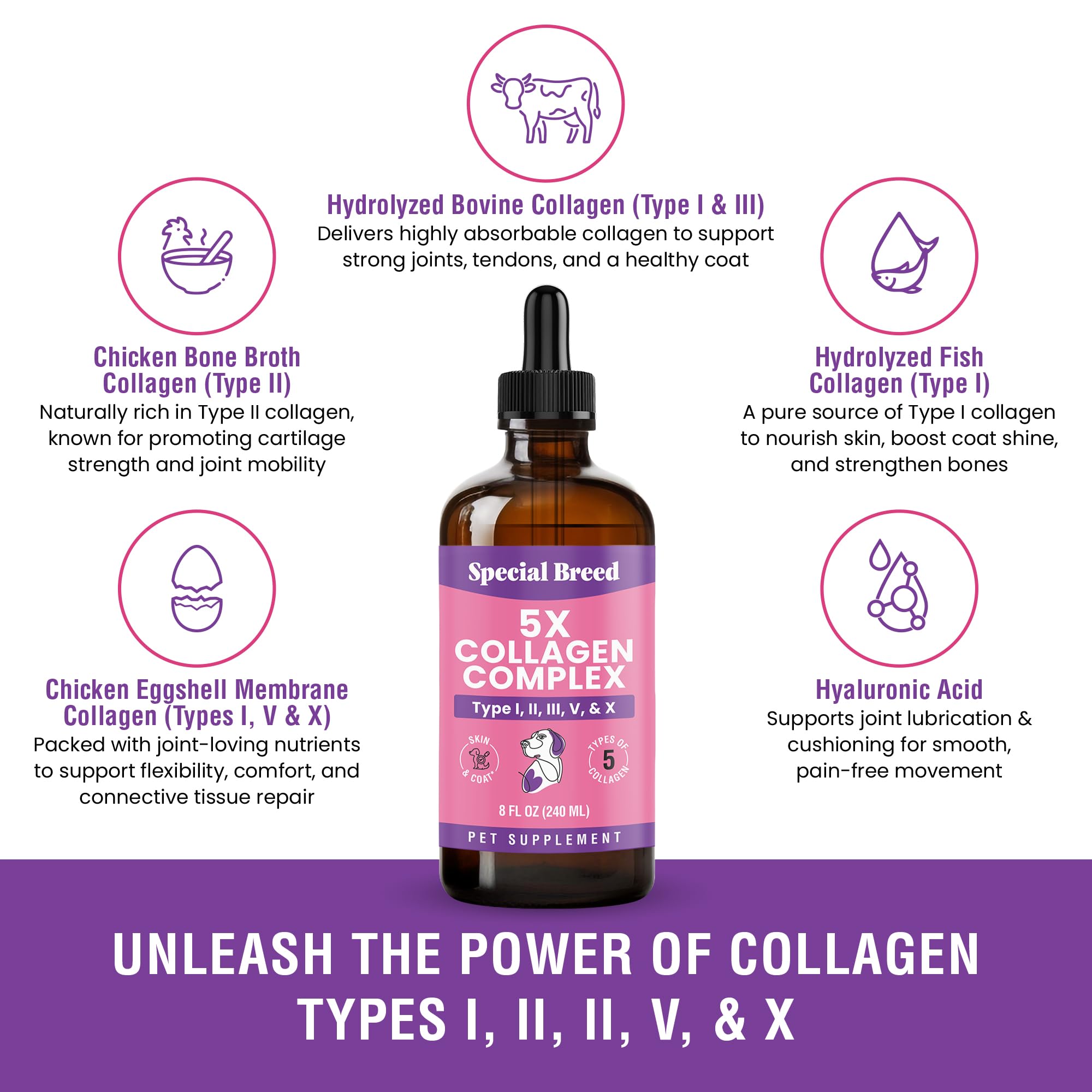 Special Breed collagen for dogs supporting joint mobility during daily activity.