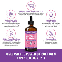 Special Breed collagen for dogs supporting joint mobility during daily activity.