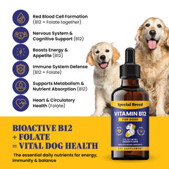 Special Breed B12 bottle label; clear dosage and ingredients.