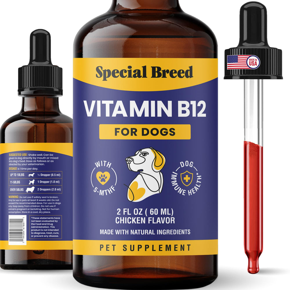Special Breed bottle with dropper for dogs; supports energy and mood.