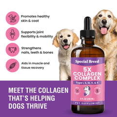 Special Breed liquid collagen for dogs delivering a shiny, healthy coat.