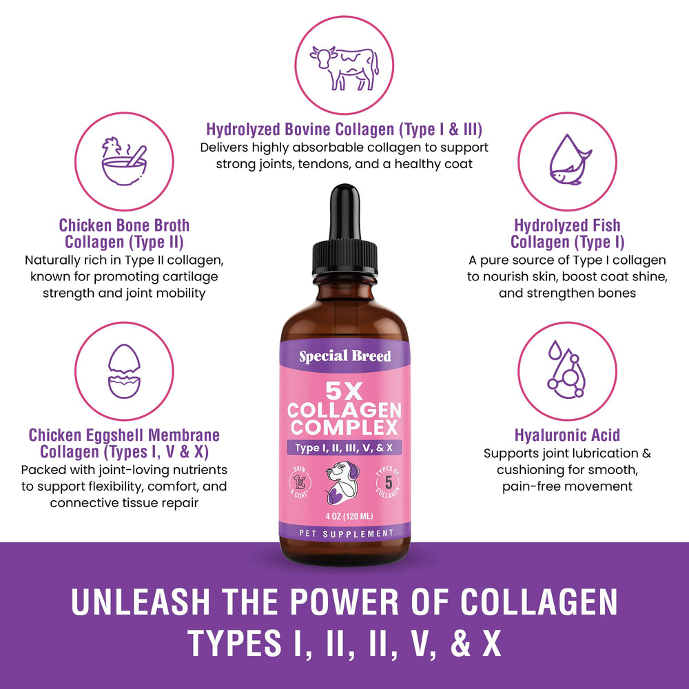 Special Breed premium collagen for dogs promotes healthier coat and smoother skin