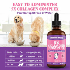 Special Breed collagen for dogs supports joint movement in active pets