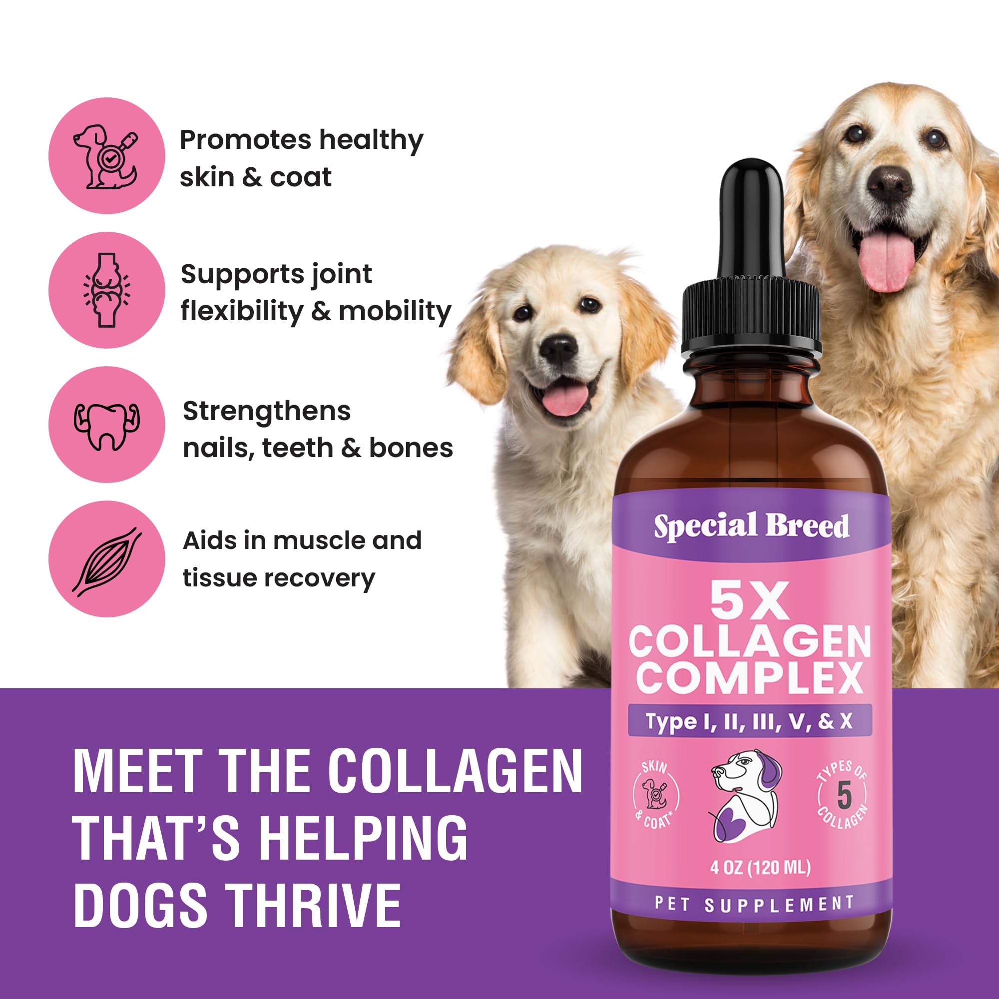 Special Breed Premium Collagen for Dogs pouring into food or water for easy administration