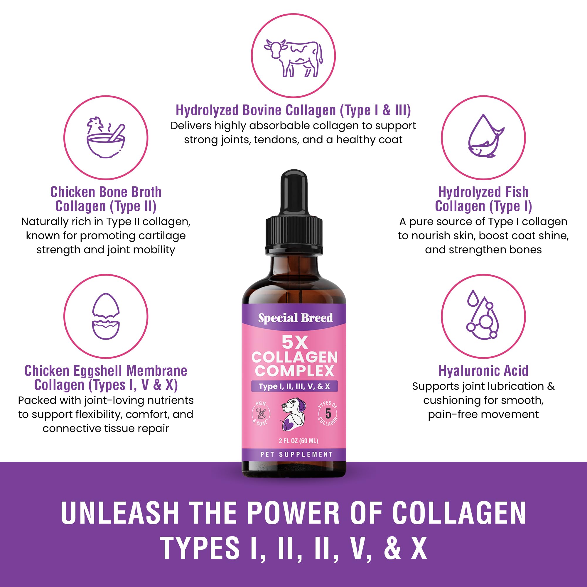 Special Breed Collagen liquid dropper demonstrates easy daily dosing for pets