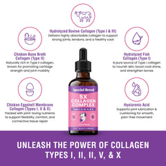 Special Breed Collagen liquid dropper demonstrates easy daily dosing for pets