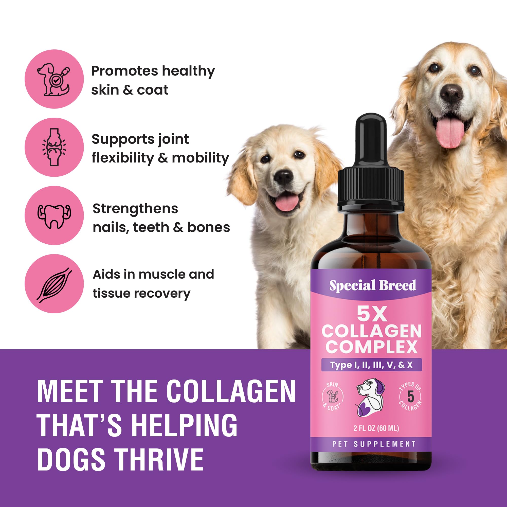 Special Breed Premium Collagen for Dogs label shows five collagen types for skin and coat support