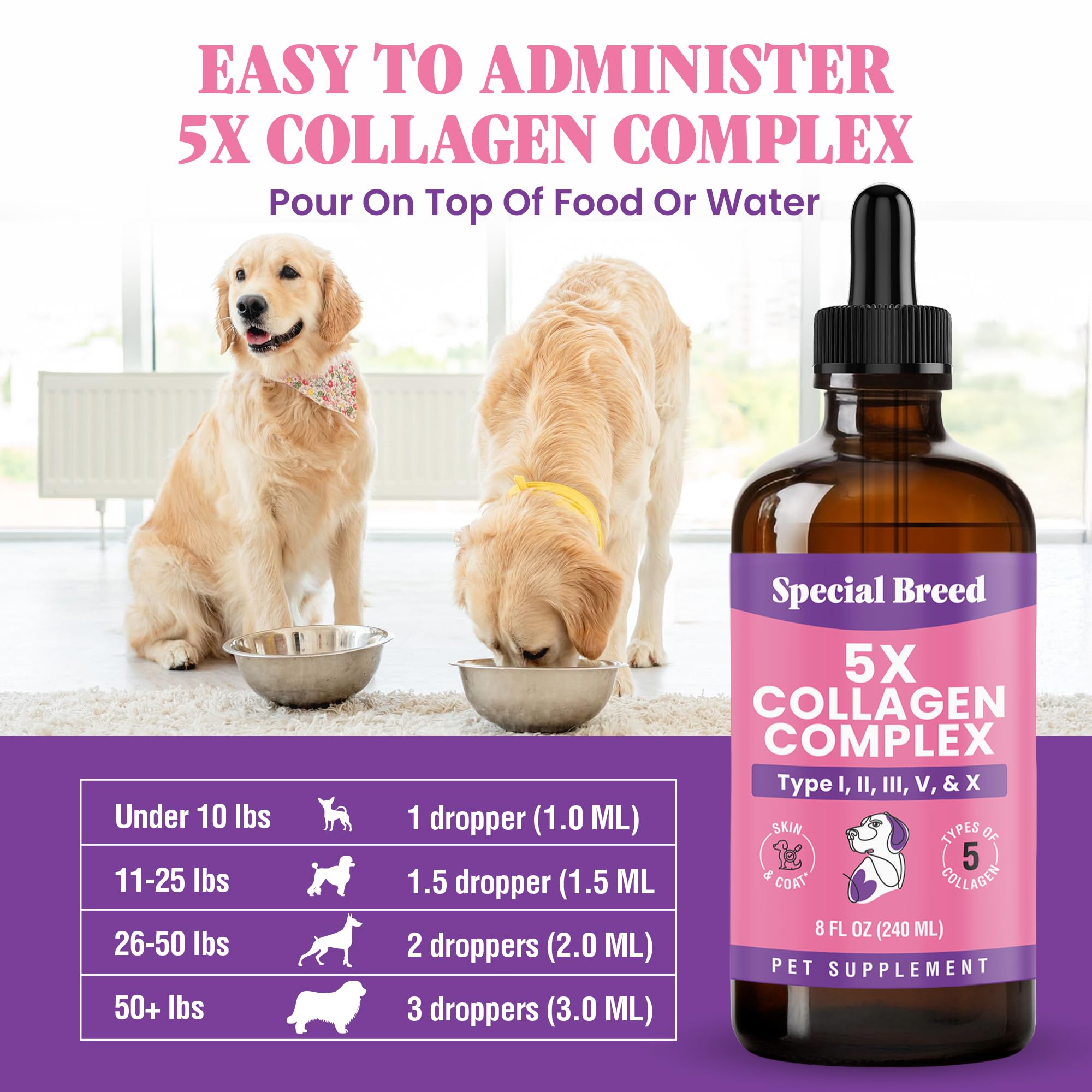 Special Breed USA-made collagen for dogs in a trusted, quality-standard formulation.