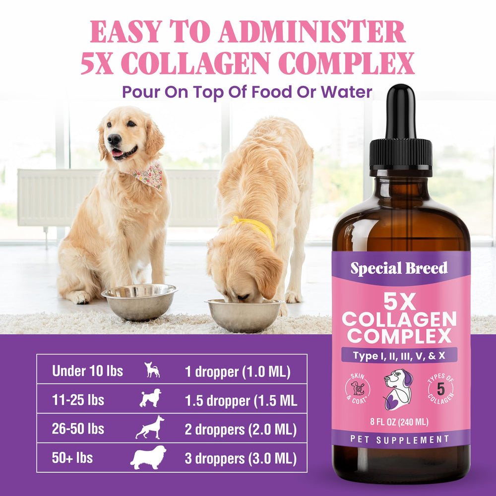 Special Breed USA-made collagen for dogs in a trusted, quality-standard formulation.