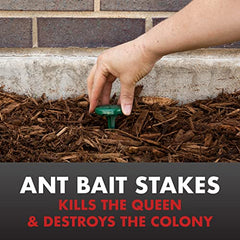 Spectracide Ant Shield queen destruction action reducing colony growth around the house