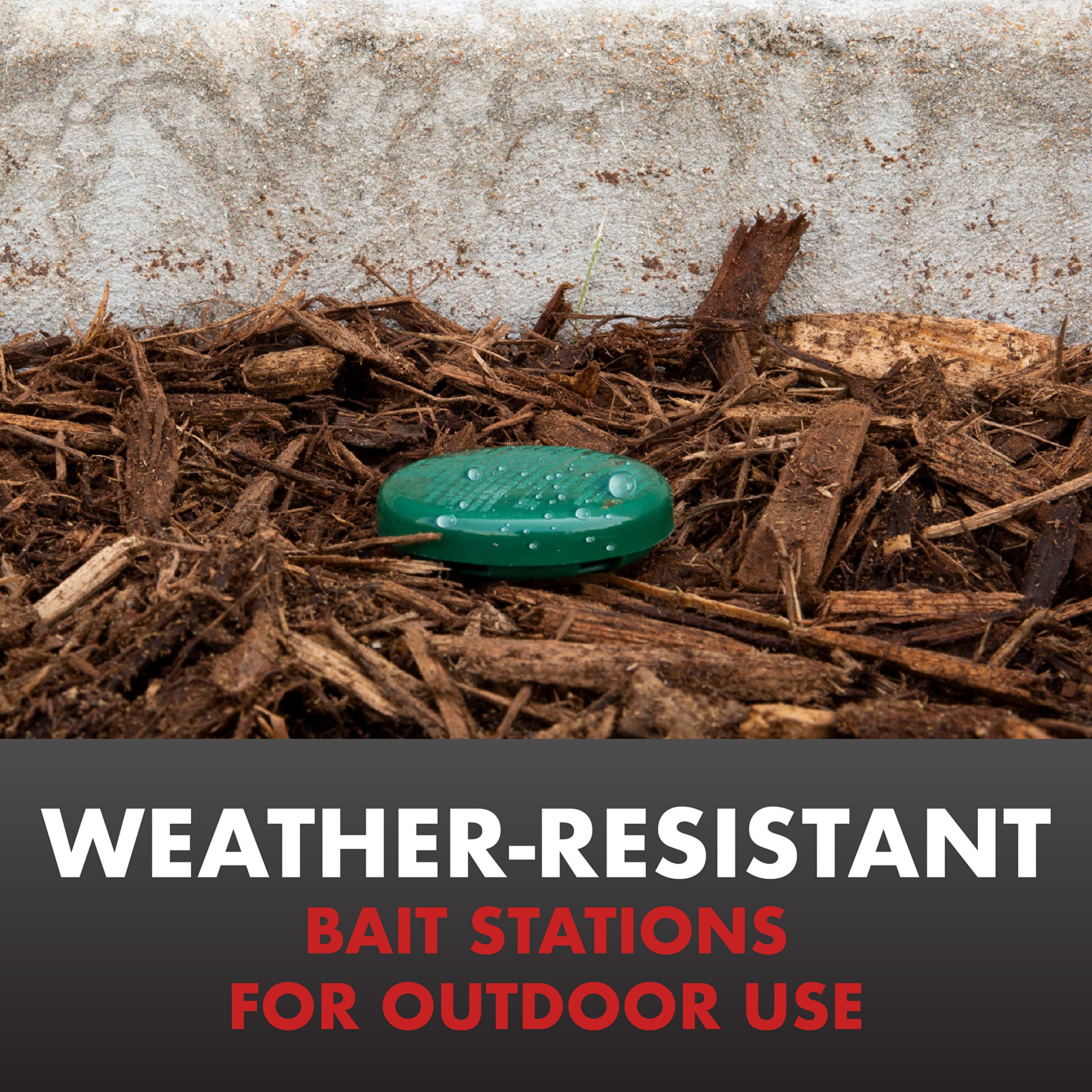 Spectracide Ant Shield weather resistant stations ready for outdoor use