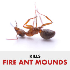 Spreader-ready Spectracide Fire Ant Shield granules dispersed evenly on a lawn