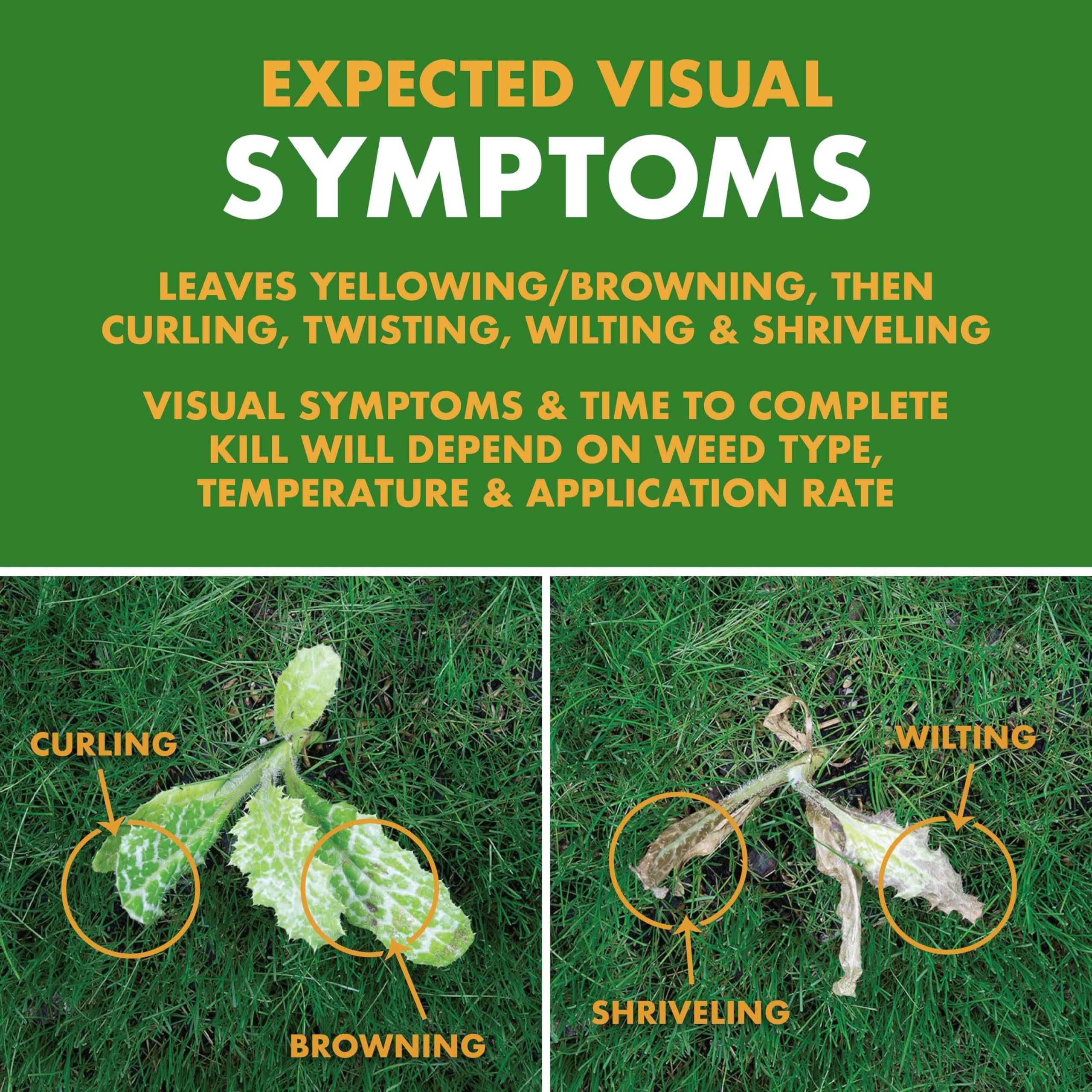 Spectracide Weed Stop kills weeds down to the root for lasting effect.