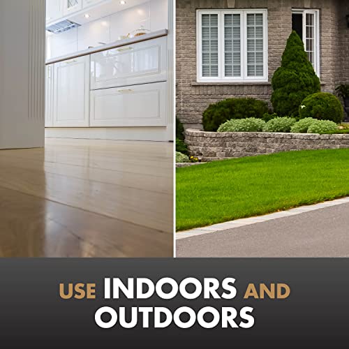 Indoor baseboard spray with Spectracide Terminate for pest control.