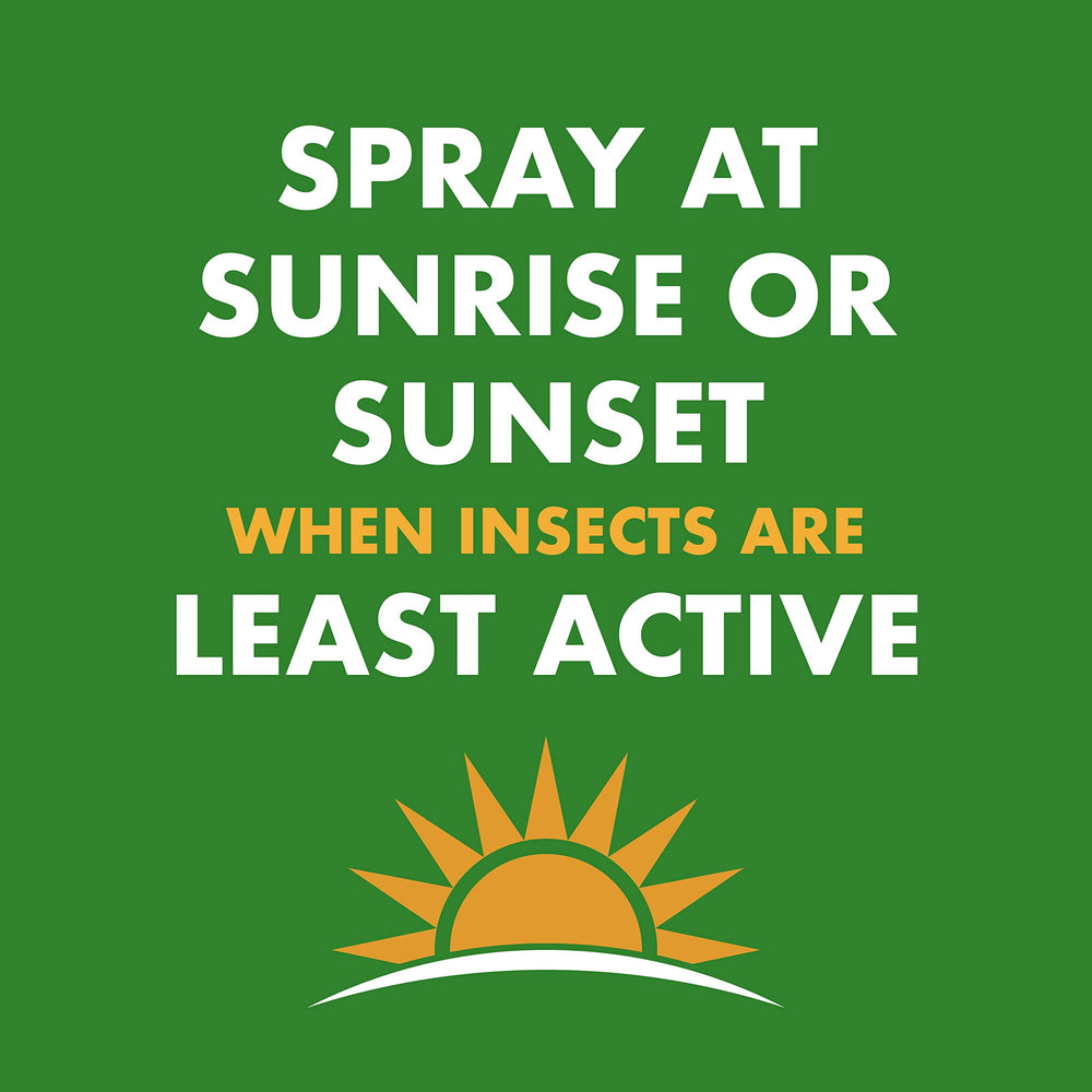 Spectracide Wasp & Hornet Killer Aerosol delivers 27-foot reach for safe application.