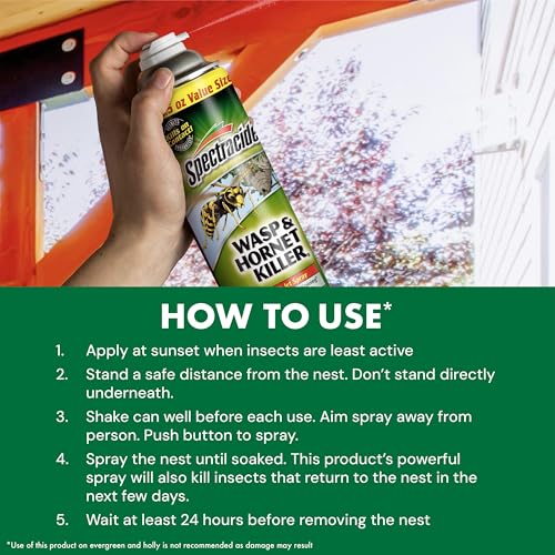Spectracide Wasp & Hornet Killer Aerosol non-staining formula protects siding when used properly.