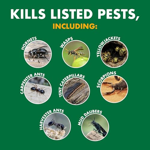 Spectracide Wasp & Hornet Killer Aerosol designed for outdoor use on yard pests near patios.
