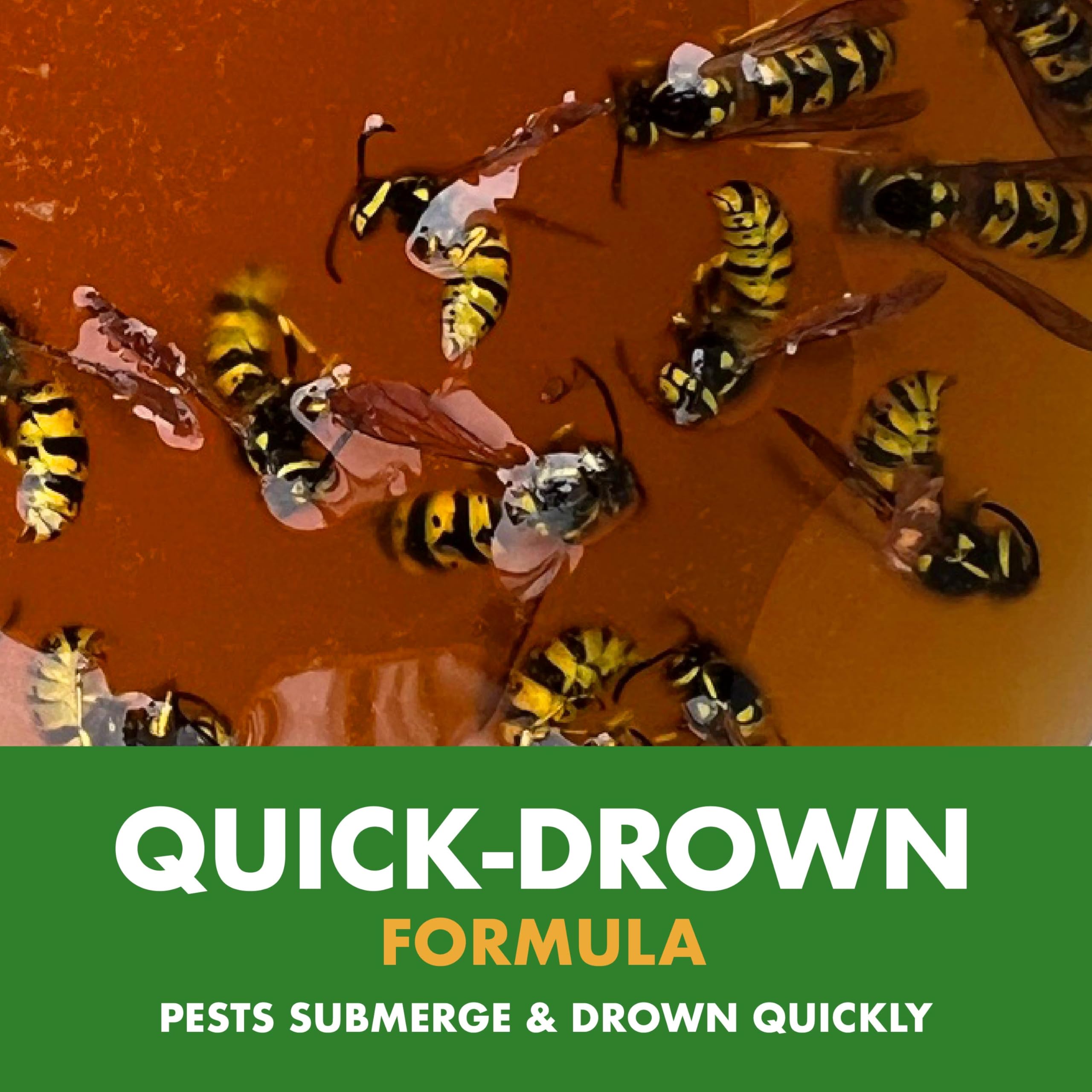 Spectracide Wasp Trap mounted at four to five feet for optimal exposure.