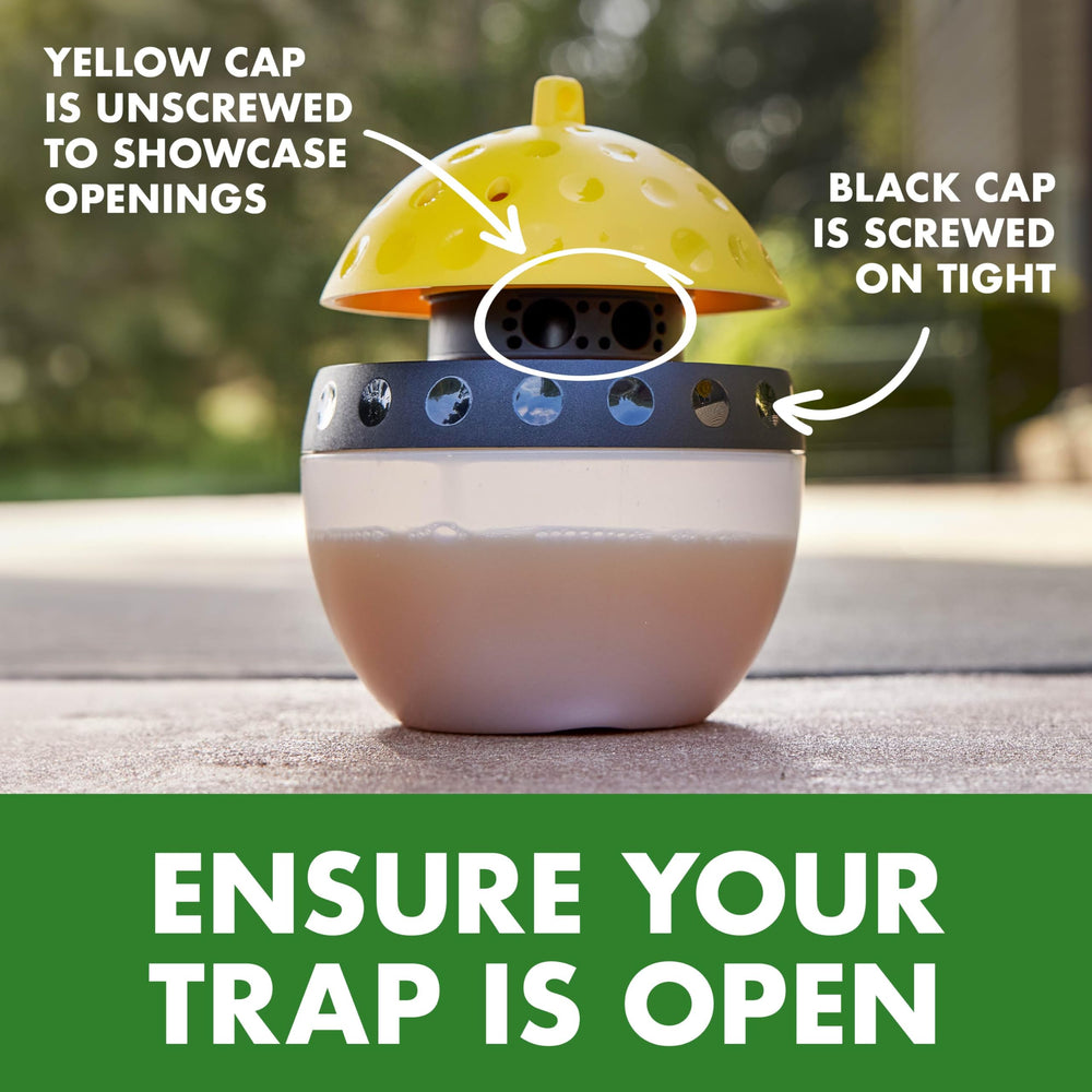 Spectracide Wasp Trap designed for sunny, sheltered outdoor spaces.