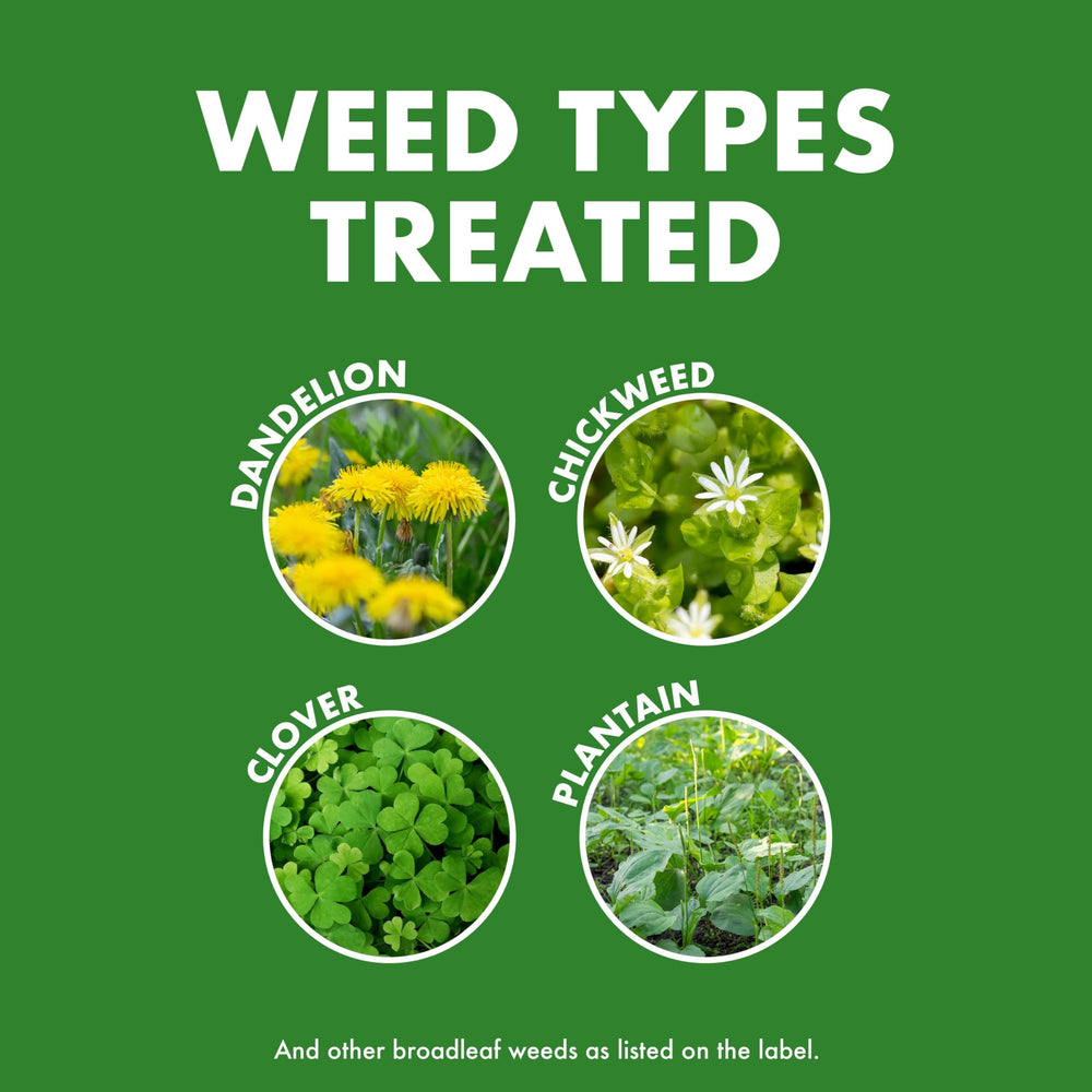 Spectracide Weed & Feed 20-0-0 kills dandelion in a lawn