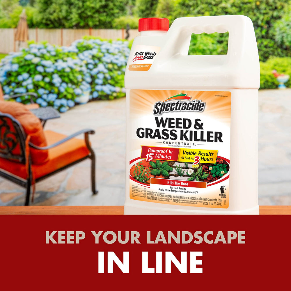 Results visible within hours with Spectracide Weed & Grass Killer