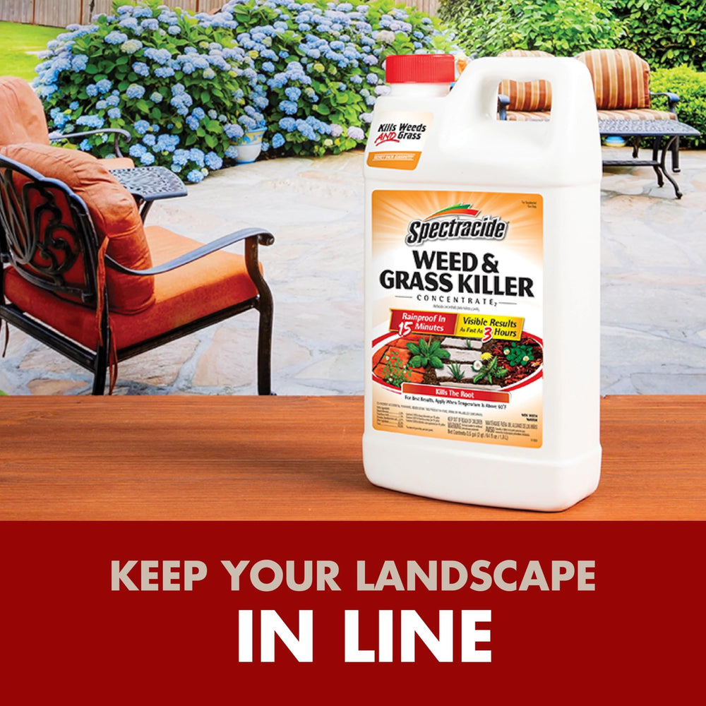 Spectracide Weed Killer Concentrate on patio edges for a clean, weed-free line