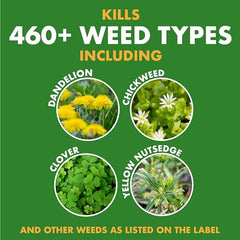 Close-up of weeds being treated by Spectracide Weed Stop for Lawns
