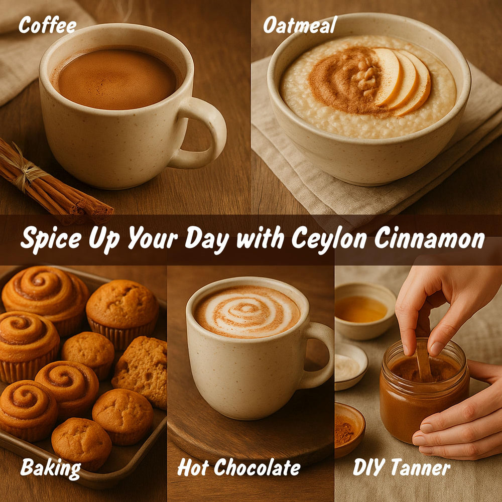 Spice Profile Ceylon cinnamon powder lab tested for safety and quality.