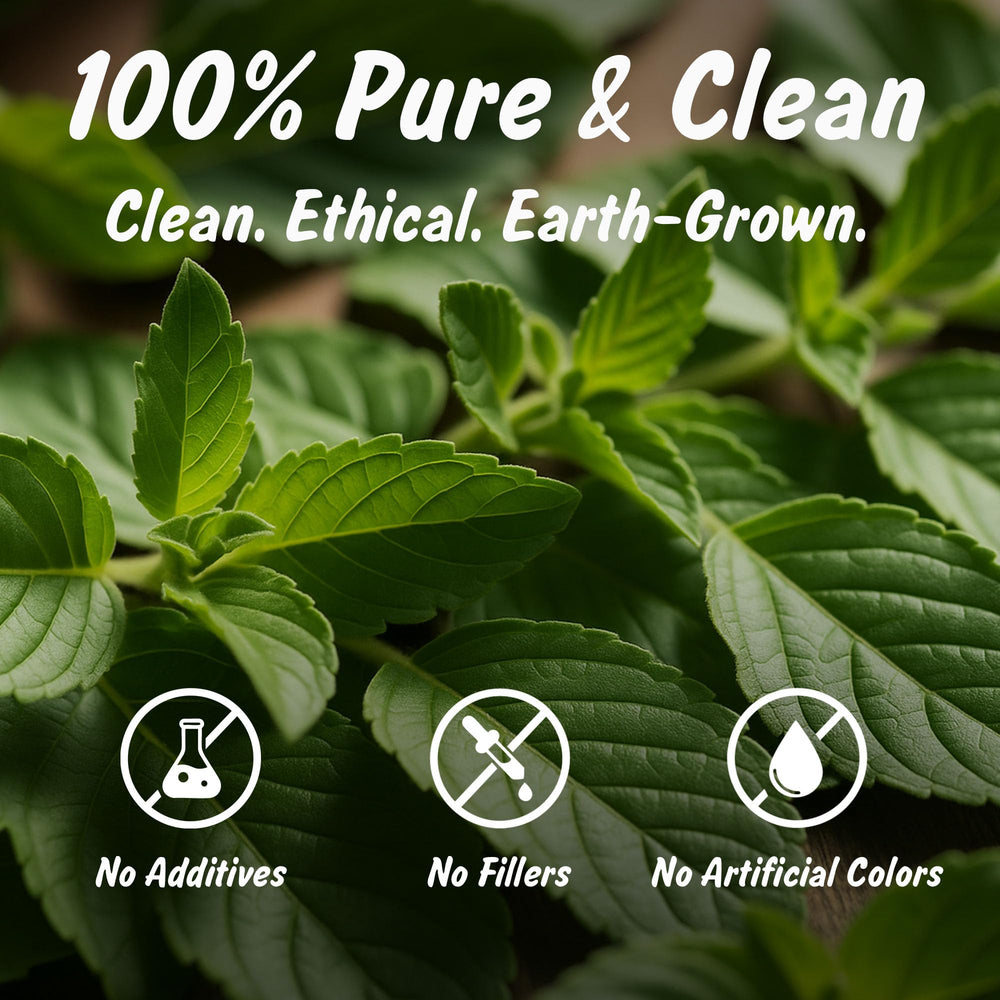 Spice Profile Tulsi tea cup steep warm inviting aroma