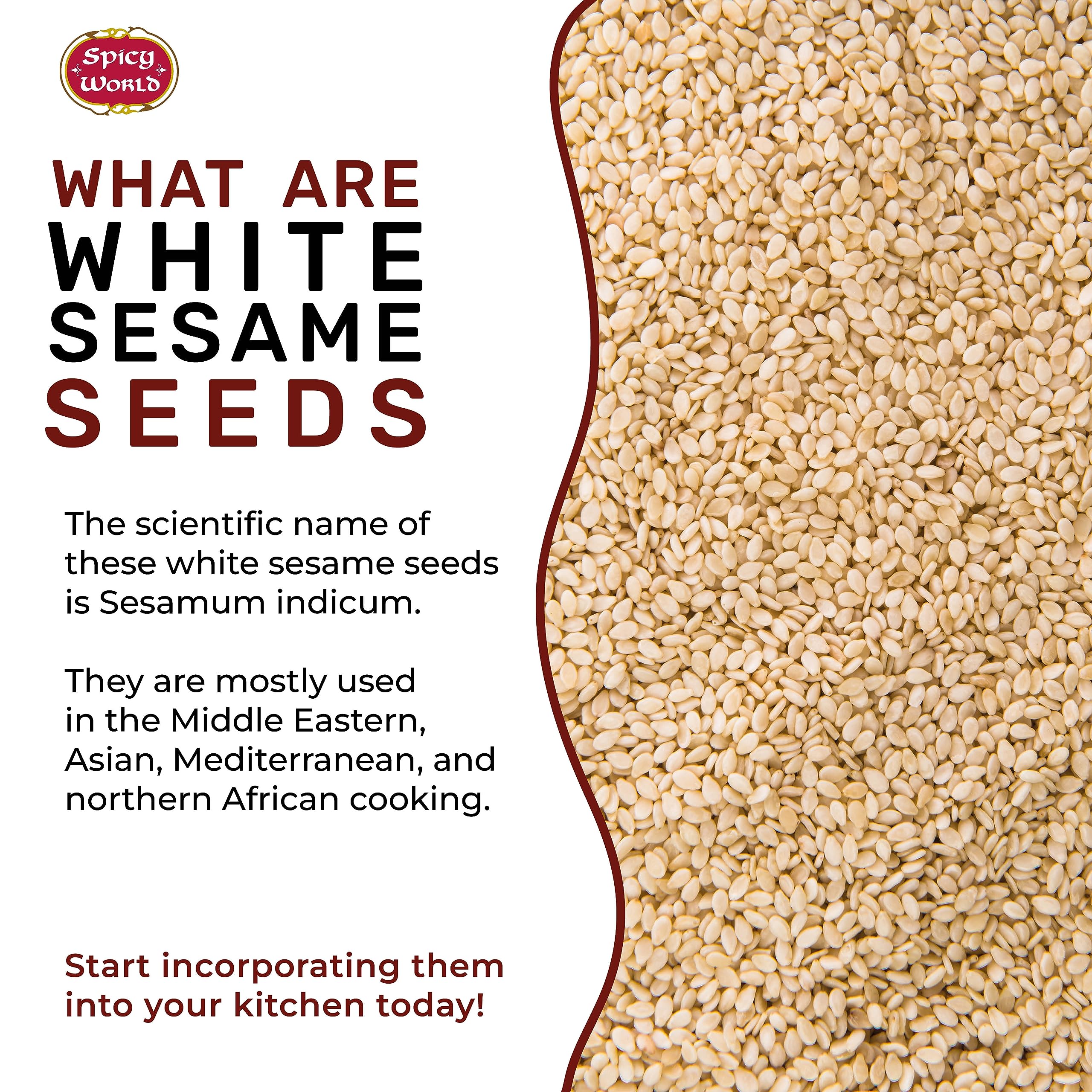 Spicy World white sesame seeds pouring into a bowl for tahini or baking