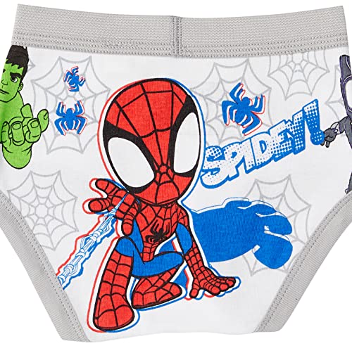 Spiderman 5T toddler underwear in flat-box presentation.
